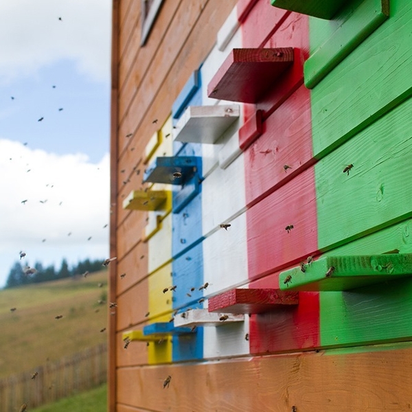 Сон на вуликах. Сон на ульях. Мед на заказ. Доставка в Киев - <ro>Изображение</ro><ru>Изображение</ru> #4, <ru>Объявление</ru> #1687376