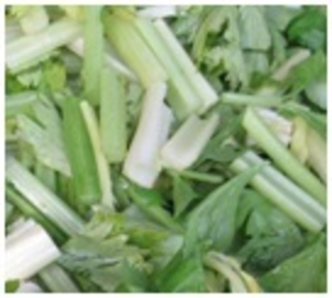 Многофункциональная овощерезка (шинковка)  Вега 306  - <ro>Изображение</ro><ru>Изображение</ru> #4, <ru>Объявление</ru> #1686972