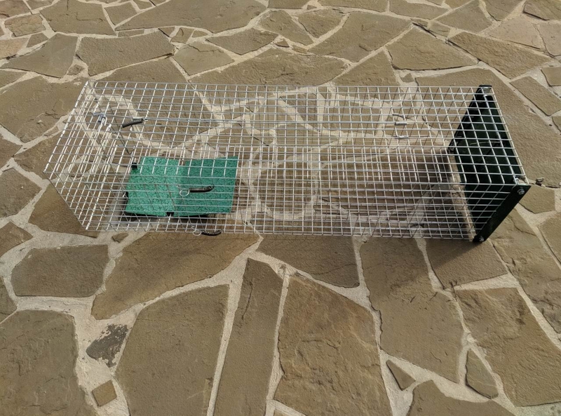 Котоловка, котоловушка, живоловка, живоловушка на кота с педалью метровая - <ro>Изображение</ro><ru>Изображение</ru> #5, <ru>Объявление</ru> #1691737