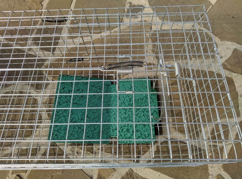 Котоловка, котоловушка, живоловка, живоловушка на кота с педалью метровая - <ro>Изображение</ro><ru>Изображение</ru> #2, <ru>Объявление</ru> #1691737