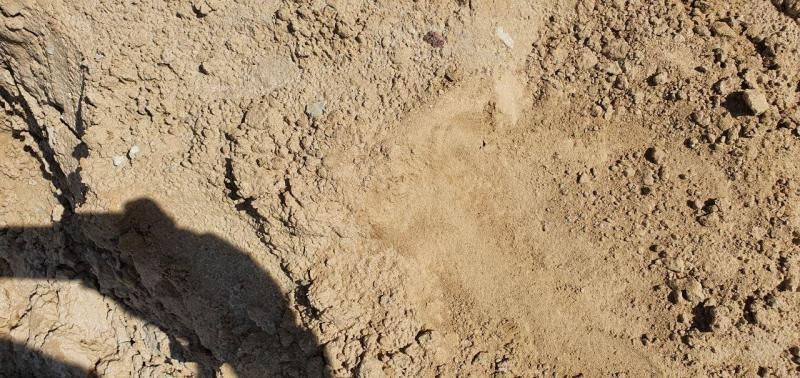 Грунт на подсыпку (супесь, суглинок) доставка Киев и обл. - <ro>Изображение</ro><ru>Изображение</ru> #2, <ru>Объявление</ru> #1690633