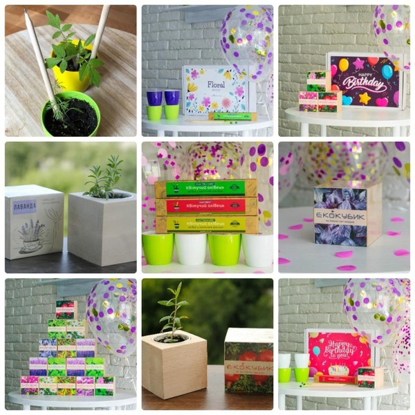 Купить экокуб, растущие карандаши, нанесение лого, опт - <ro>Изображение</ro><ru>Изображение</ru> #2, <ru>Объявление</ru> #1691407