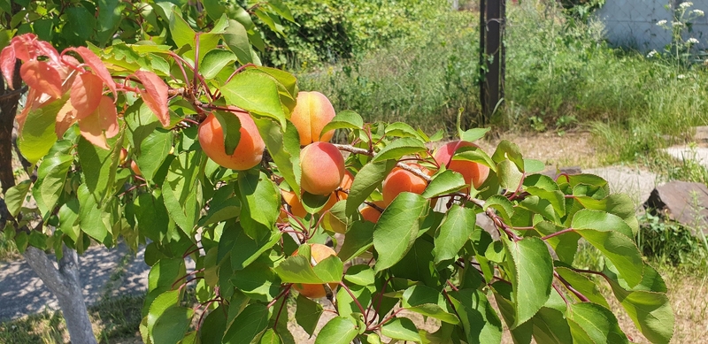 Продажа Дома на Белосарайской Косе - <ro>Изображение</ro><ru>Изображение</ru> #8, <ru>Объявление</ru> #1691916