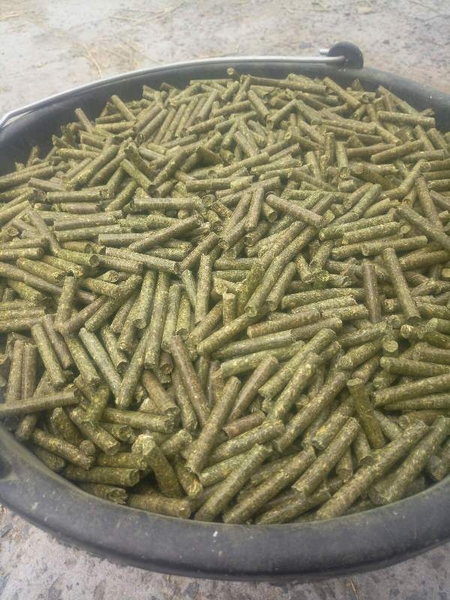 Гранулированная люцерна, люцерна в пеллетах, кормовая гранула - <ro>Изображение</ro><ru>Изображение</ru> #1, <ru>Объявление</ru> #1692428