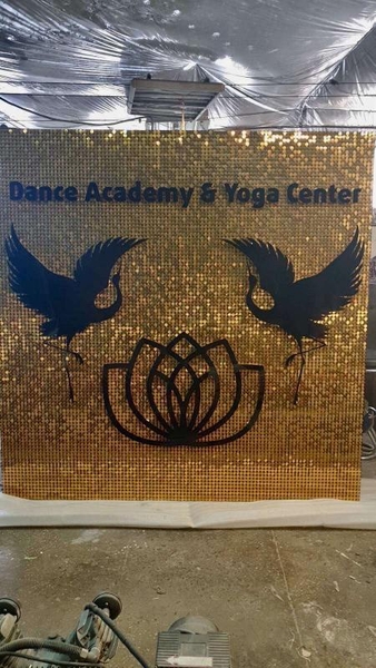 Аренда фотозоны с пайетками, любой цвет и размер - <ro>Изображение</ro><ru>Изображение</ru> #4, <ru>Объявление</ru> #1698611