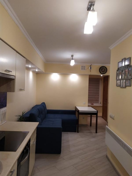 Продается фасадное помещение Чабаны / Теремки / Новоселки - <ro>Изображение</ro><ru>Изображение</ru> #6, <ru>Объявление</ru> #1700076