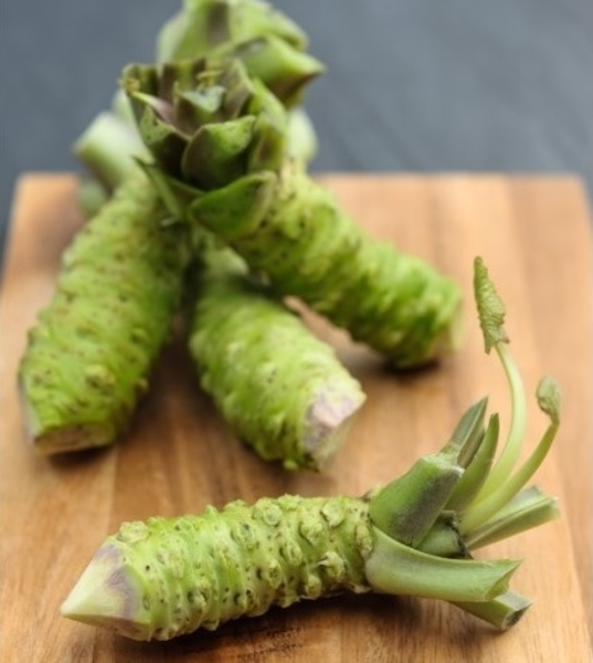 54 x WASABI PLANTS sadzonki sushi plant pflanze japan farm seed - <ro>Изображение</ro><ru>Изображение</ru> #4, <ru>Объявление</ru> #1701342