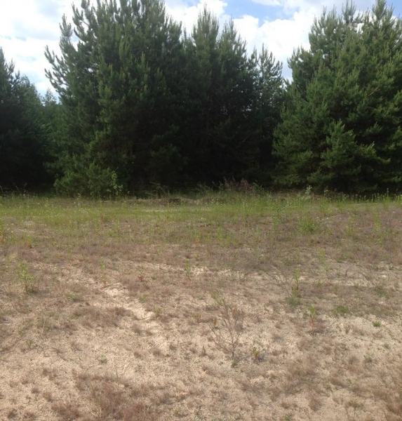 Продам участок с лесом в 19 км от Киева - <ro>Изображение</ro><ru>Изображение</ru> #5, <ru>Объявление</ru> #1705497