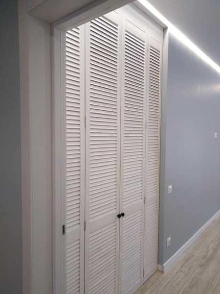 двери жалюзи в гардеробной - <ro>Изображение</ro><ru>Изображение</ru> #1, <ru>Объявление</ru> #1511167