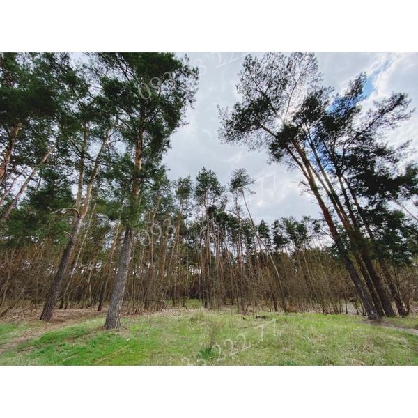 Продаем 1-но комнатную квартиру 32 кв. м, Лесной пр-т, Киев - <ro>Изображение</ro><ru>Изображение</ru> #8, <ru>Объявление</ru> #1707226