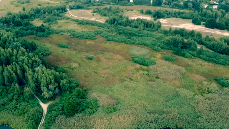 Козин продажа элитных участков земли от 5га с прямым выходом на р.Козинка - <ro>Изображение</ro><ru>Изображение</ru> #6, <ru>Объявление</ru> #1686348