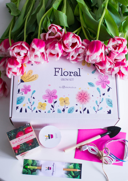 Растущий карандаш, живые карандаши, живая канцелярия от производителя  - <ro>Изображение</ro><ru>Изображение</ru> #1, <ru>Объявление</ru> #1711255