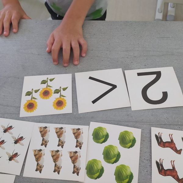 Допомога у навчанні, вчитель-дефектолог, корекційний педагог - <ro>Изображение</ro><ru>Изображение</ru> #5, <ru>Объявление</ru> #1710071