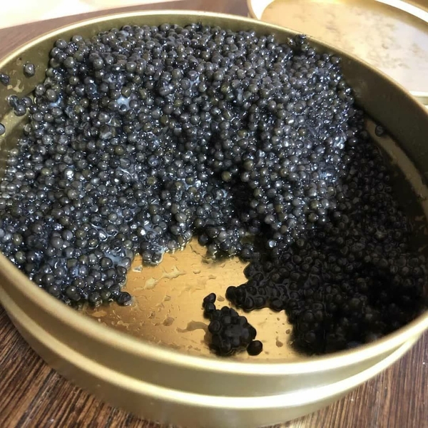 Черная икра купить. Тушки осетра. - <ro>Изображение</ro><ru>Изображение</ru> #3, <ru>Объявление</ru> #1710280