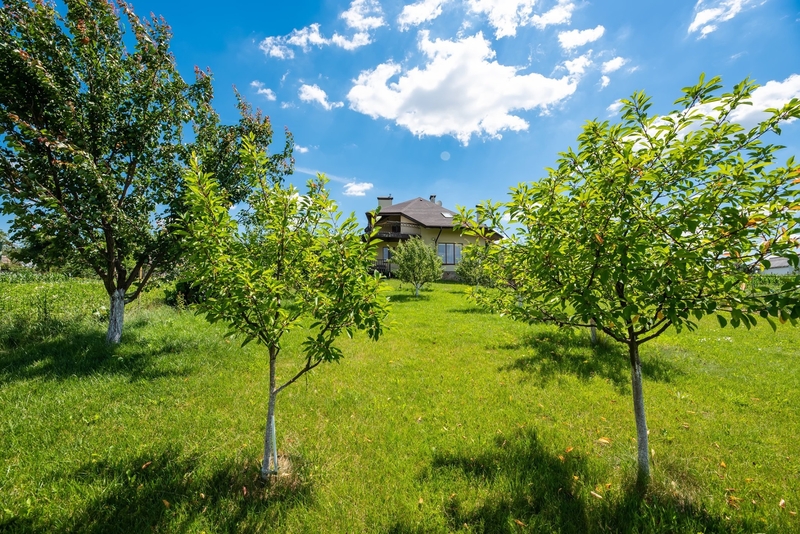 Будинок в с. Копіївка, Макарівський район - <ro>Изображение</ro><ru>Изображение</ru> #3, <ru>Объявление</ru> #1712097