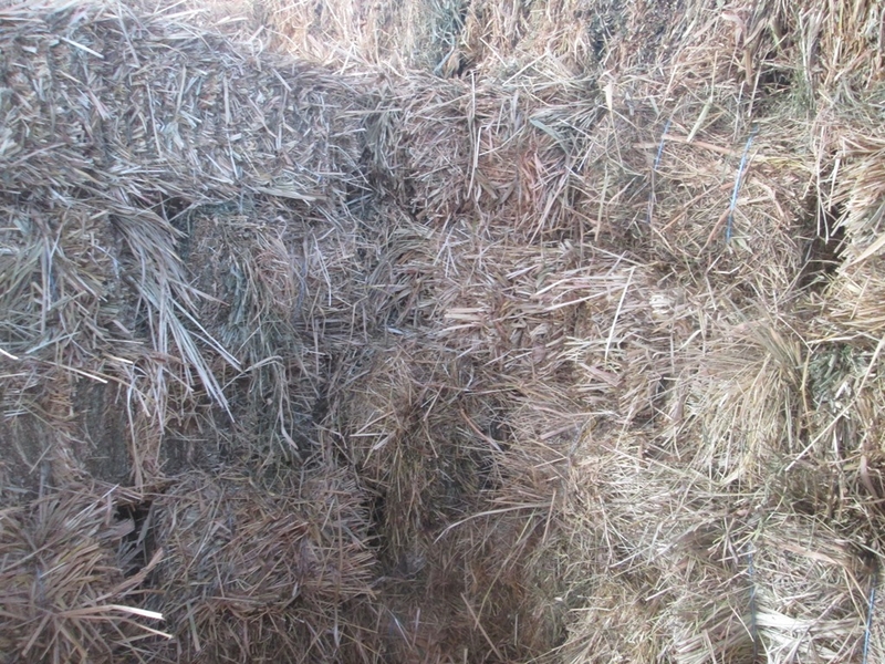 Продам сіно Лугове різнотравья в тюках - <ro>Изображение</ro><ru>Изображение</ru> #1, <ru>Объявление</ru> #1712995