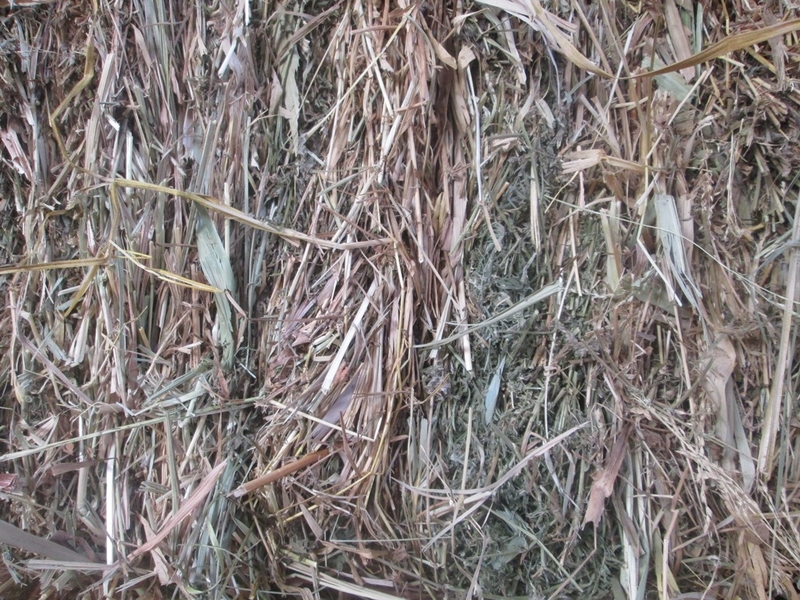 Продам сіно Лугове різнотравья в тюках - <ro>Изображение</ro><ru>Изображение</ru> #2, <ru>Объявление</ru> #1712995