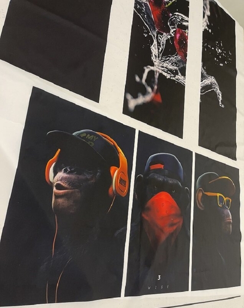 Печать рулонная Сублимация Синтетические ткани - <ro>Изображение</ro><ru>Изображение</ru> #3, <ru>Объявление</ru> #1712477