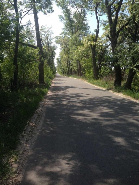 Продам участок 10 соток в Севериновке, 19 км от Киева - <ro>Изображение</ro><ru>Изображение</ru> #3, <ru>Объявление</ru> #1715288