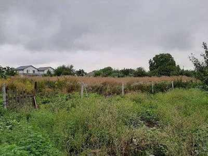 50% - <ro>Изображение</ro><ru>Изображение</ru> #3, <ru>Объявление</ru> #1715362