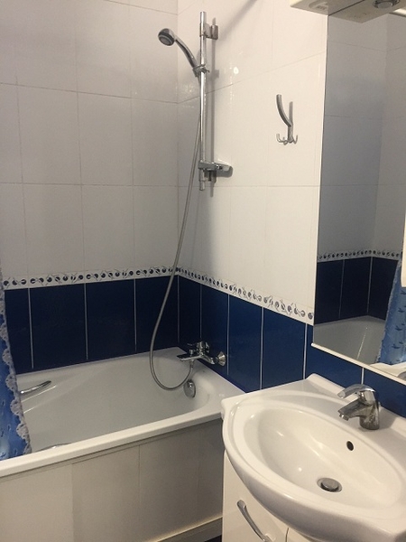 Аренда 1 ком квартиры Вишневое, Витянская - <ro>Изображение</ro><ru>Изображение</ru> #4, <ru>Объявление</ru> #1714217