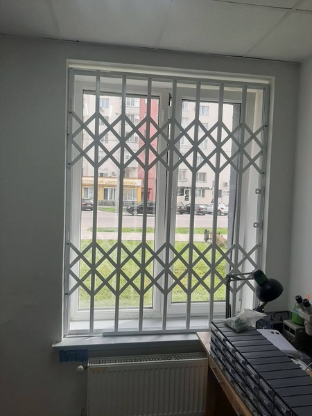 Раздвижные решетки металлические на окна, двери, витрины. Киев - <ro>Изображение</ro><ru>Изображение</ru> #5, <ru>Объявление</ru> #1713945