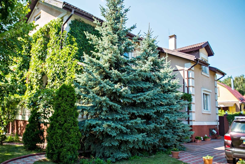 Без комиссии.Дом в Лютеж. 334м2. - <ro>Изображение</ro><ru>Изображение</ru> #4, <ru>Объявление</ru> #1715126