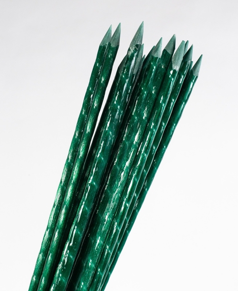 POLYARM - колышки и опоры для растений и цветов. Цены от производителя - <ro>Изображение</ro><ru>Изображение</ru> #4, <ru>Объявление</ru> #1717482