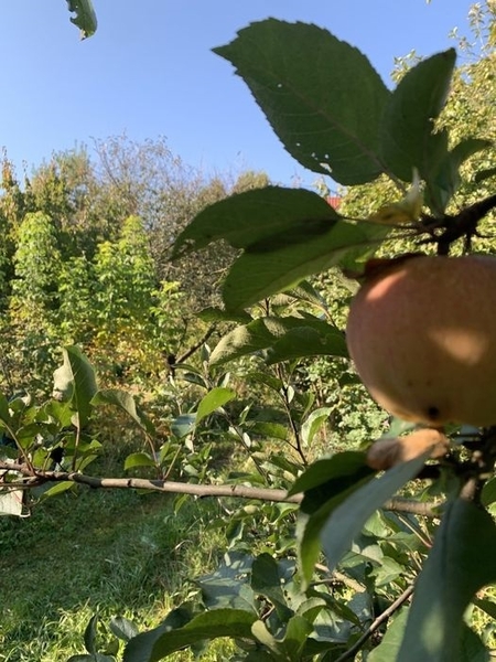 Дом у реки - <ro>Изображение</ro><ru>Изображение</ru> #4, <ru>Объявление</ru> #1717381