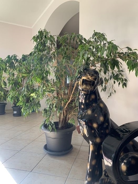 Дом у реки - <ro>Изображение</ro><ru>Изображение</ru> #7, <ru>Объявление</ru> #1717381