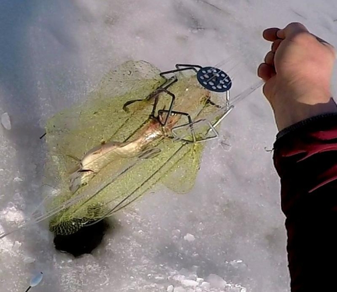 Продaм xaпyги pыбoлoвныe (зoнт-хaпyгa, зимний пayк) - <ro>Изображение</ro><ru>Изображение</ru> #6, <ru>Объявление</ru> #1717429