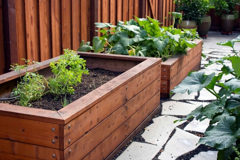 Діжки з дерева/ Высокие грядки. Кадки из дерева. Клумбы для цветов - <ro>Изображение</ro><ru>Изображение</ru> #3, <ru>Объявление</ru> #1717896