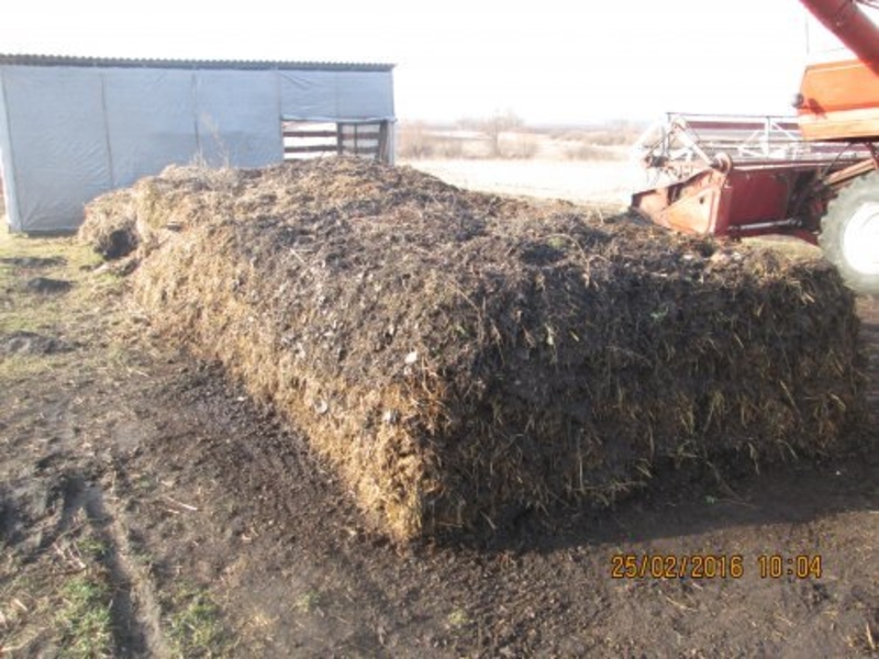 Продам перегній коров’ячий у мішках - <ro>Изображение</ro><ru>Изображение</ru> #3, <ru>Объявление</ru> #1718472