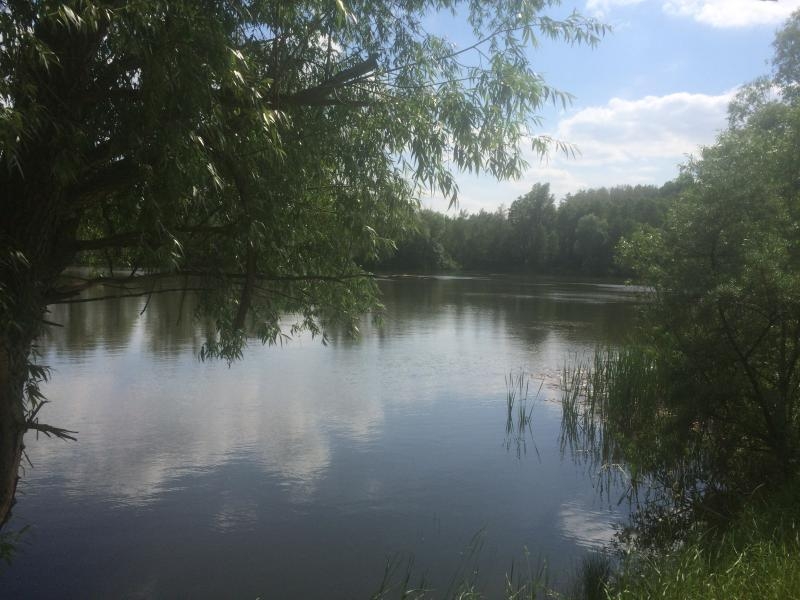 Продам дачу Киево-Святошинский район - <ro>Изображение</ro><ru>Изображение</ru> #5, <ru>Объявление</ru> #1719706