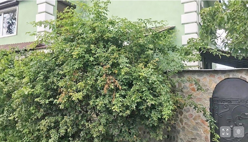 Будинок в Подільському районі - <ro>Изображение</ro><ru>Изображение</ru> #3, <ru>Объявление</ru> #1719350