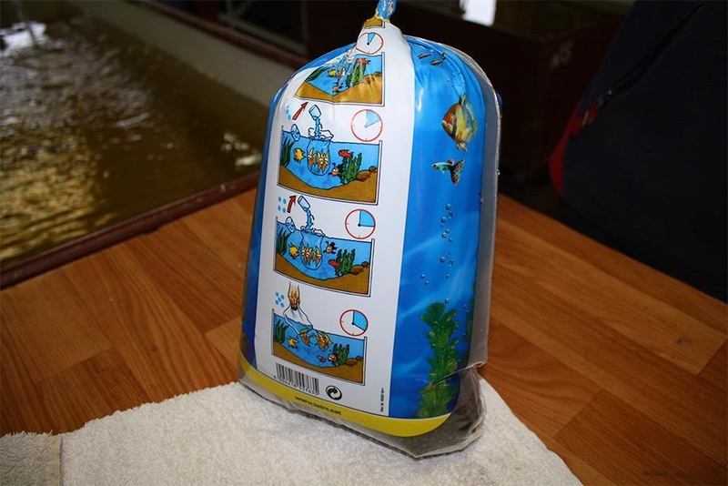 Икра оплодотворенная. Бестер, стерлядь, осетр - <ro>Изображение</ro><ru>Изображение</ru> #1, <ru>Объявление</ru> #1720646