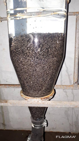 Икра оплодотворенная. Бестер, стерлядь, осетр - <ro>Изображение</ro><ru>Изображение</ru> #3, <ru>Объявление</ru> #1720646