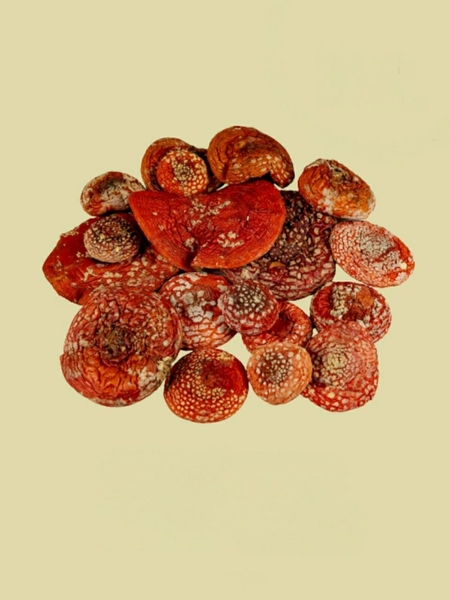 Мухомор Красный в капсулах 0,3 гр. Микродозинг мухомора. - <ro>Изображение</ro><ru>Изображение</ru> #3, <ru>Объявление</ru> #1722332