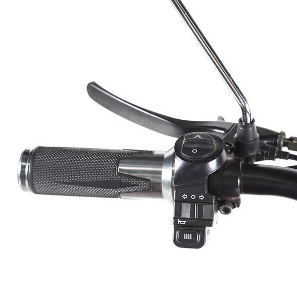 Электроскутер грузовой ElWinn ETB-126 - <ro>Изображение</ro><ru>Изображение</ru> #6, <ru>Объявление</ru> #1723579