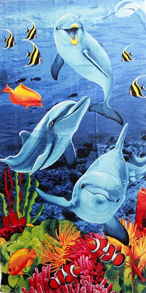 Рушники банні, лицеві, кухонні, пляжні в асортименті - <ro>Изображение</ro><ru>Изображение</ru> #3, <ru>Объявление</ru> #1726106