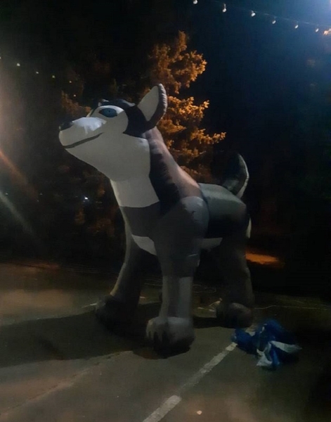 Зоомагазини зовнішня реклама - <ro>Изображение</ro><ru>Изображение</ru> #4, <ru>Объявление</ru> #1725879