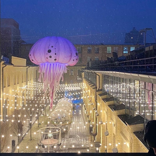 Надувний арт об’єкт мистецькі проекти - <ro>Изображение</ro><ru>Изображение</ru> #1, <ru>Объявление</ru> #1727224