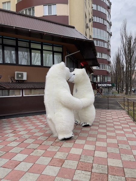 Костюм ведмедя надувний Панда - <ro>Изображение</ro><ru>Изображение</ru> #7, <ru>Объявление</ru> #1727767