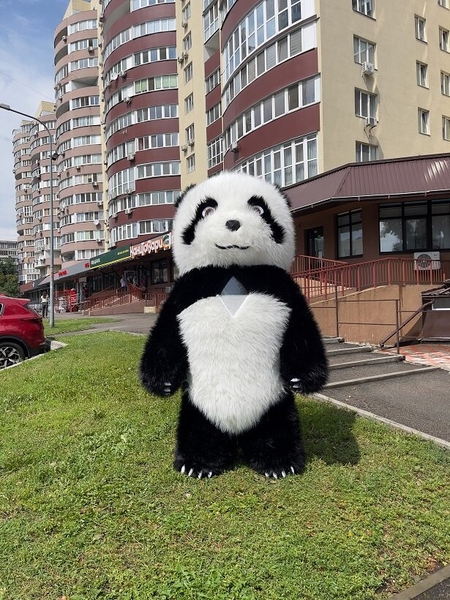 Костюм ведмедя надувний Панда - <ro>Изображение</ro><ru>Изображение</ru> #8, <ru>Объявление</ru> #1727767