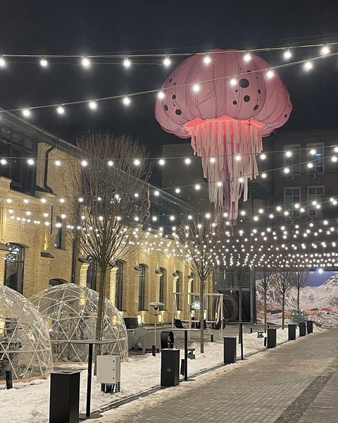 Шоу куля новорічна фотозона - <ro>Изображение</ro><ru>Изображение</ru> #6, <ru>Объявление</ru> #1727768