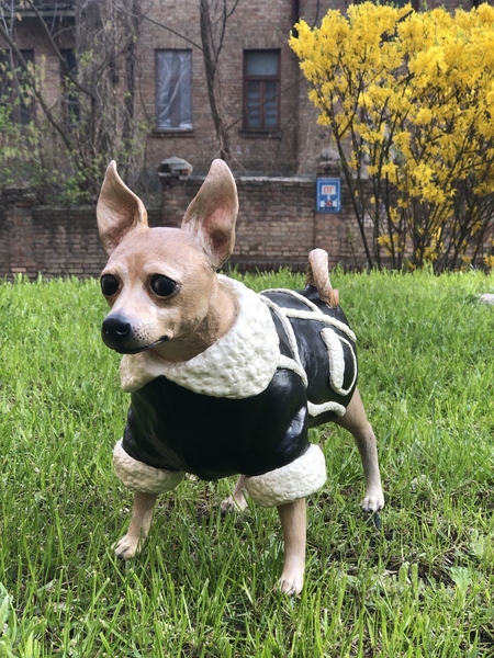 Памятные скульптуры домашних питомцев - <ro>Изображение</ro><ru>Изображение</ru> #3, <ru>Объявление</ru> #1732333