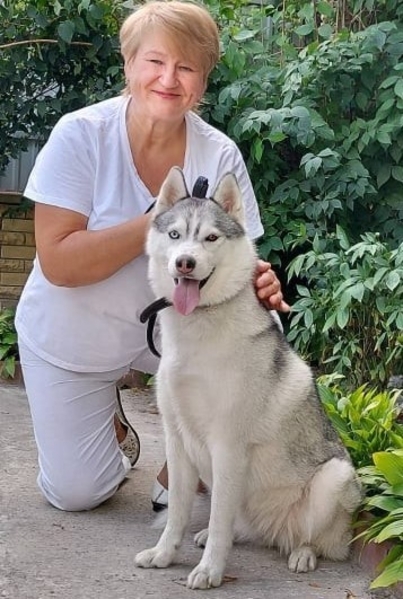 Готель собак Dogs Hotel Пес - передержка Киев - <ro>Изображение</ro><ru>Изображение</ru> #4, <ru>Объявление</ru> #1734133