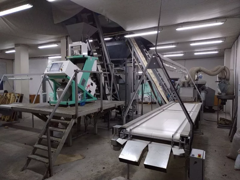 Продаємо готовий бізнес – Лінія по переробці волоського горіха. - <ro>Изображение</ro><ru>Изображение</ru> #5, <ru>Объявление</ru> #1736952