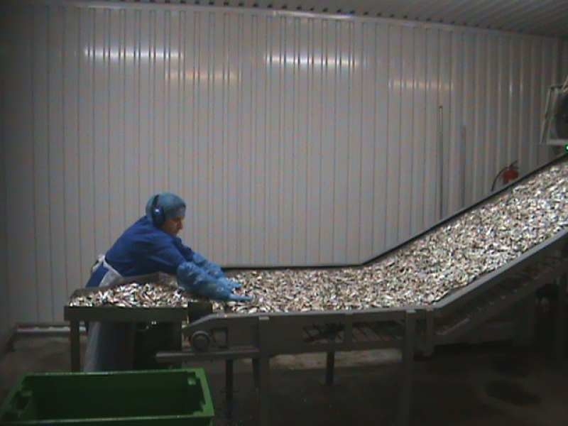 Изготовление и ремонт холодильного оборудования, сетка-нержавейка - <ro>Изображение</ro><ru>Изображение</ru> #7, <ru>Объявление</ru> #1738157