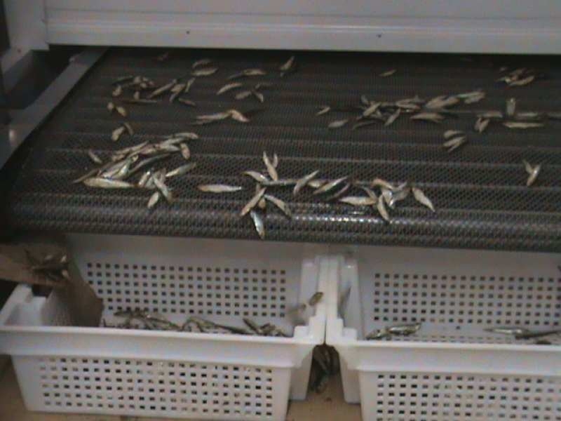 Изготовление и ремонт холодильного оборудования, сетка-нержавейка - <ro>Изображение</ro><ru>Изображение</ru> #8, <ru>Объявление</ru> #1738157